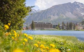 Aves Arosa